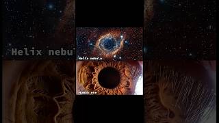 Universe #universe #spacebeauty #trending #viralvideo #shorts #space #astronomy #world