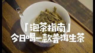 吃茶去｜「泡茶指南」今日喝一款普洱生茶