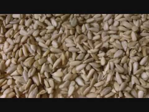Spicy Salt and Vinegar Sunflower Seeds RAW Food Recipe for Tim Ferriss 4 Hour Body Slow Carb Diet Spicy Salt and Vinegar Sunflower Seeds RAW Food Recipe for Tim Ferriss 4 Hour Body Slow Carb Diet