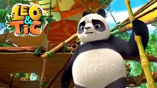 Leo and Tig  🦁  The Bamboo Master  🐯  Best episodes  🦁  Funny Family Animated Cartoon for Kids