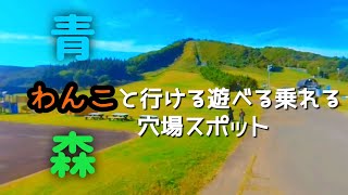 【わんこと一緒に行ける乗れる】青森県平内町 夜越山森林公園 リフトからの風景　#わんこ　#青森　#観光　#穴場スポット