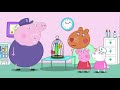 Peppa Pig | Doctor Hamster | Peppa Pig Official | Family Kids Cartoon