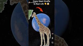 Real Crazy Giraffe 🦒👇🤯 on google map and google earth 🌎 #earthlocation2m #short