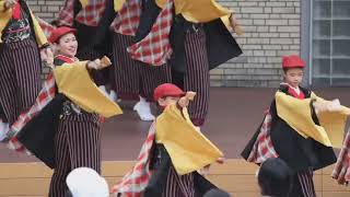 第8回　いずみよさこい祭り　から　夢舞隊さん