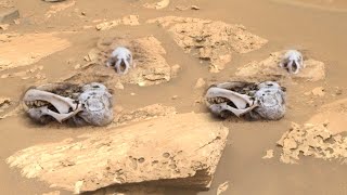 NASA's perseverance rover recently released new 4k video footage of mars surface! Mars 4k images!