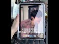 沉默至今！！有ipad的姐妹别乱买！！