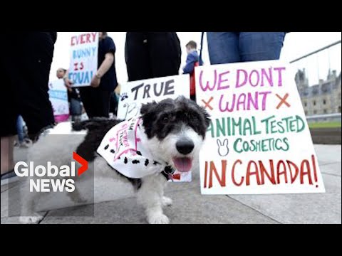 What animal products are banned from entering Canada?