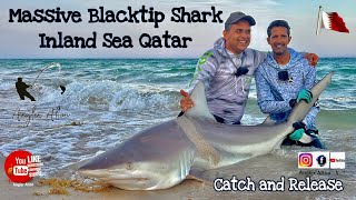 Big Shark From Shore - Fishing  in  Qatar