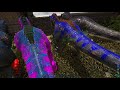 hatching 600 rex eggs for mutations ark survival evolved mutation zoo s2e1