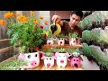 recycle plastic bottles into cute pig shaped flower pots for small garden