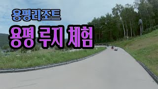 용평리조트 용평루지 / 오대산 월정사 / 강원도 아이들과 가볼만한곳