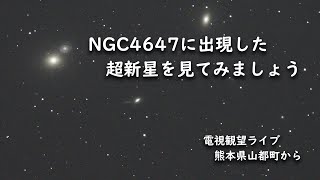 【電視観望ライブ EAA】超新星SN2022hrsを見ました