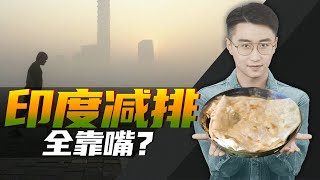 消化一下：立志“干净又卫生”，印度能做到吗？