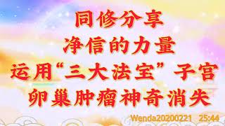 卢台长开示：  同修分享：净信的力量，运用“三大法宝”，子宫、卵巢肿瘤神奇消失Wenda20200221   25:44