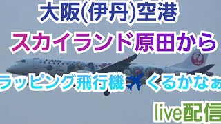 大阪(伊丹)空港スカイランド原田から、ラッピング飛行機✈️くるかなぁ、ライブ配信【Katsuoチャンネル】2025.01.15