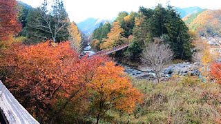 美しすぎる！秋川渓谷の紅葉🍁