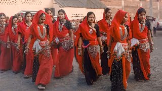 Aadiwasi umrali shaadi video 2025!!आदिवासी टिमली विडियो 2025!!umrali timli dance 2025!!Aadivasi song