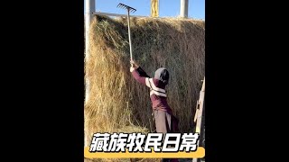 #vlog日常 #记录真实生活 #农村生活