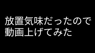 お久しぶりのご挨拶と今後の動画について