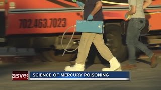 How dangerous is mercury contamination?