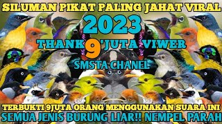 Download Lagu SUARA PIKAT BURCIL PALING AMPUH SILUMAN PIKAT 2023... MP3 Gratis