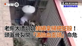 老柴犬遭奶奶狂毆...頭蓋骨裂開滿臉血歪頭｜寵物｜柴柴