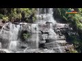 ಝರಿ ಜಲಪಾತ ಚಿಕ್ಕಮಗಳೂರು jhari water falls chikmagalur