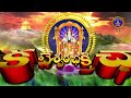 శ్రీవారి డోలోత్సవం srivari dolotsavam 12 01 2025 svbc ttd