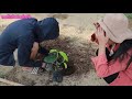 ปลูกต้นมังคุด และ ต้นทับทิม mangosteen and pomegranate planting ep. 1 licktwithtoy vlog 189