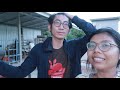 ปลูกต้นมังคุด และ ต้นทับทิม mangosteen and pomegranate planting ep. 1 licktwithtoy vlog 189