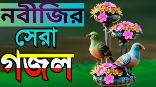 💥 যেই দুরুদ পাঠ করলে নবিজী সাঃ নিজে এসে স্বপ্নে দেখা দিবেন | দুরুদ শরীফ | Nurul Aiyn Qadri