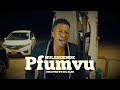 Hulengende - Pfumvu Official Video ( Tsvimbo Mutauro Album)