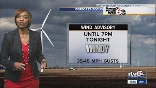 Weather Forecast: Windy day ahead