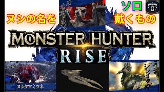 【MHRise】ヌシの名を戴くもの　ソロ　ヘビィ6'32\