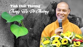 Tính Chất Thường Trong Sự Vô Thường | Thầy Thích Trí Chơn