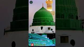 Allama Abdul Habib Attari Watsapp Status ||12 Rabi Ul awal|| Eid Milad UN Nabi Status Short video