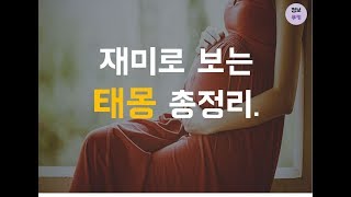 [꿈해몽] 재미로보는 태몽이야기 / 태몽풀이 / 태몽총정리