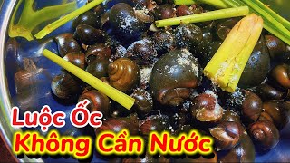 Luộc Ốc Cho Nước Vào Là Sai Lầm || Bí Quyết Luộc Ốc Không Cần Nước Ngon Hơn Gấp 10 Lần
