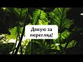 Біологія 7 клас Балан . §16 Вищі рослини – багатоклітинні організми з тканинами та органами