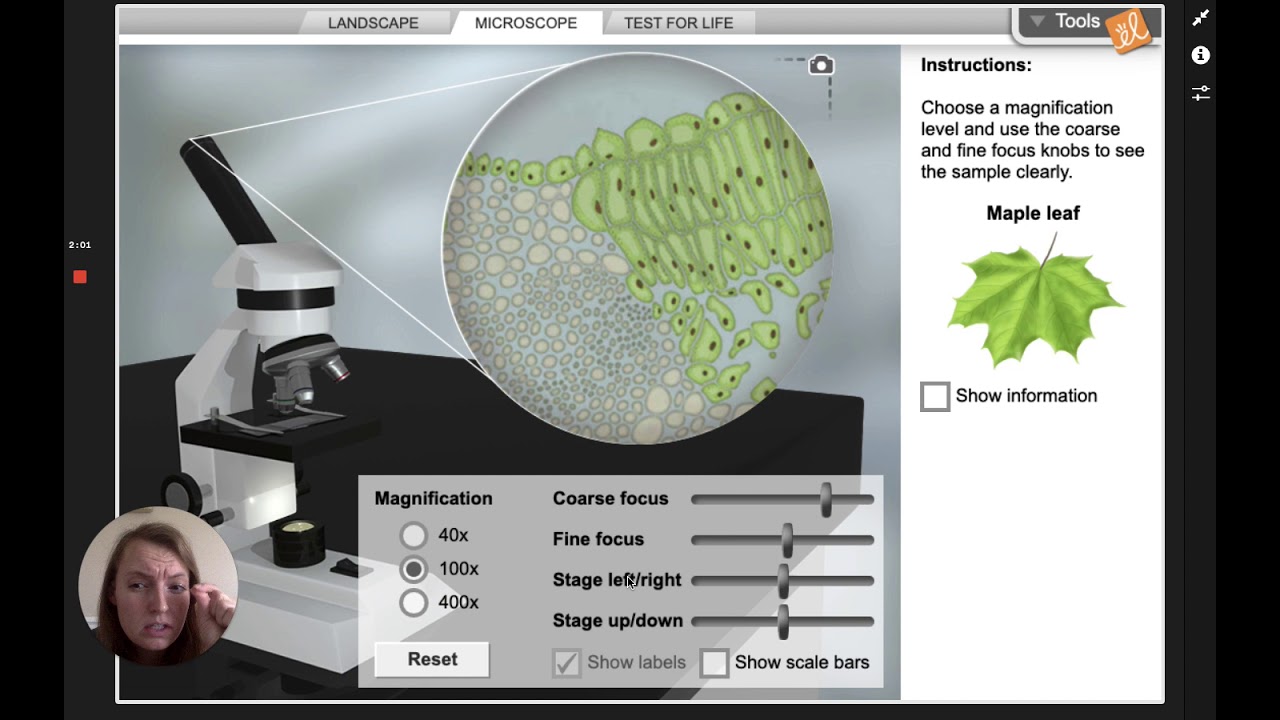 Virtual Microscope - YouTube