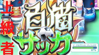 【白テニ】白猫サッカーがプロ過ぎた件