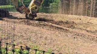 TheAlpacasOfSpringAcres Pasture Expansion Stump Grinding V