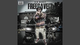 Ced Muney- FREE GAVE IT