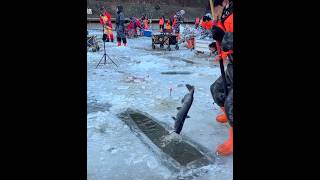 Ice fishing #icefishing