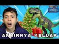 WINTER UPDATE saatnya GW jadi YANG PERTAMA make BUAH T REX  - 【Roblox Blox Fruits】