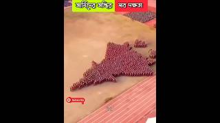 এসব দেখতে ভাগ্যের প্রয়জন #shorts #facts #viral #respect #army