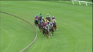 20201220 Hollywoodbets Scottsville express clip Race 6 won by TREE OF KNOWLEDGE