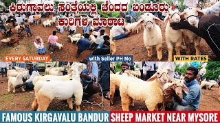 Kirugavalu Sheep Market Selling World Famous Bandur Sheep Near Mysore in Karnataka | Sheep for Sale