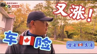 生活在加拿大，车险怎么省钱？