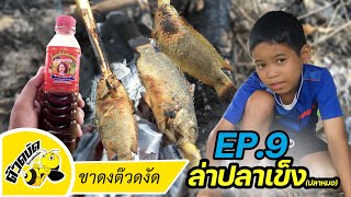 ขาดง ต๊วดงัด EP.9 ล่าปลาเข็ง (ปลาหมอ)